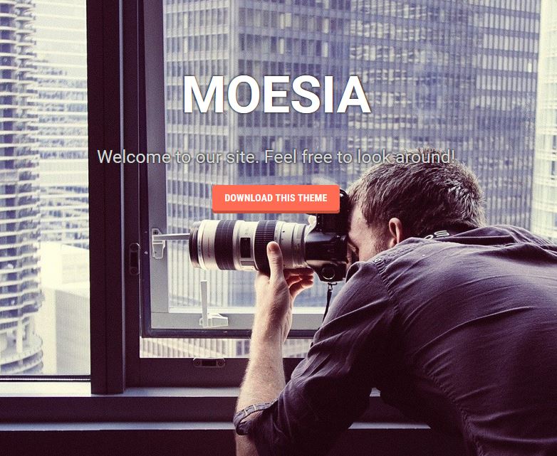 free responsive wordpress themes moesia