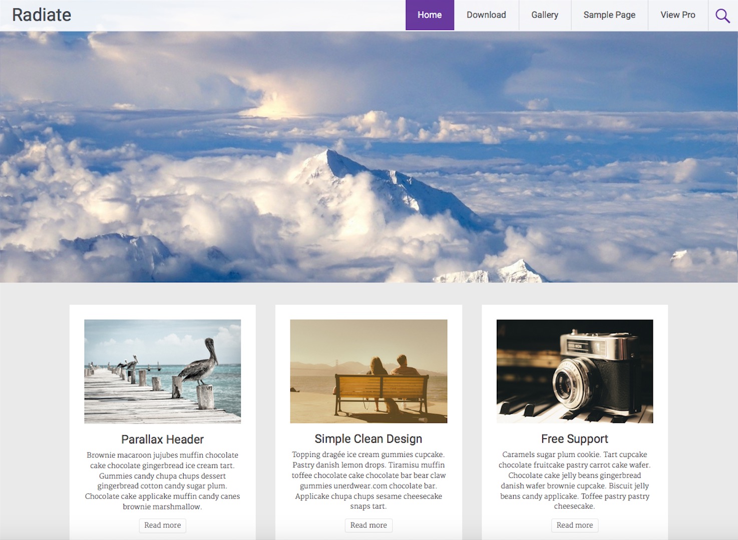 30+ Best Free Personal Blog WordPress Themes & Templates 2020