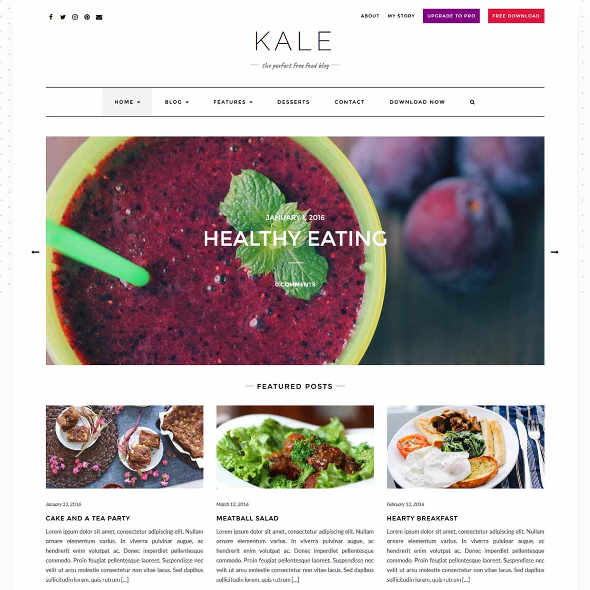 kale-minimalist-wordpress-themes-templates
