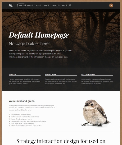Monument WordPress Theme-Best Accessibility WordPress Theme