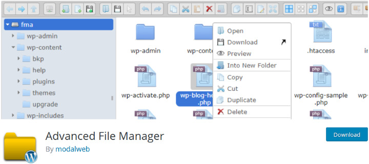 Advanced File Manager Essential WordPress Plugin
